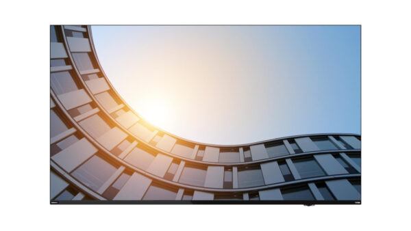 Монитор Lenovo ThinkVision E65, 64.5" IPS, 3840x2160 60Hz